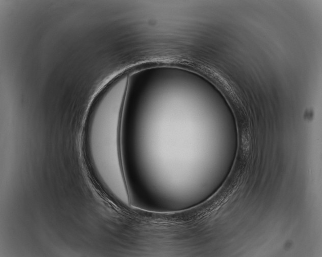 X0000100750532200806190825