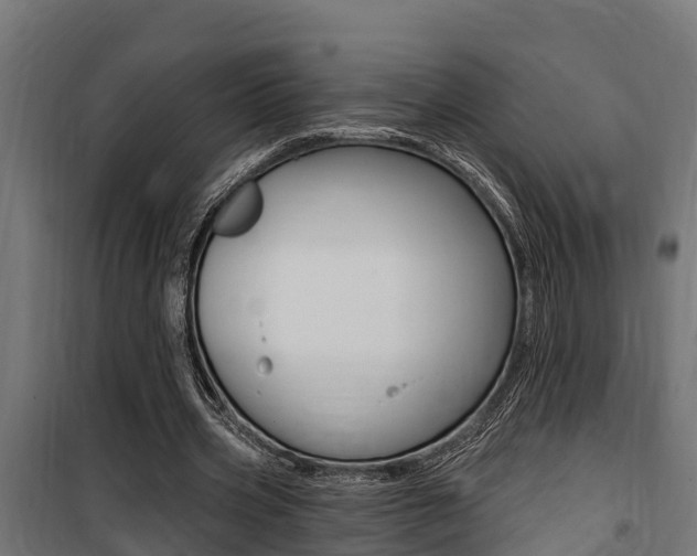 X0000100750533200806190825