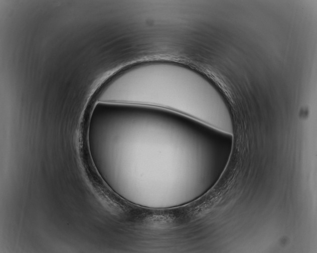 X0000100750536200806190825