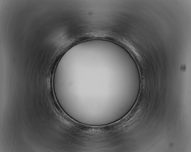 X0000100750537200806190825