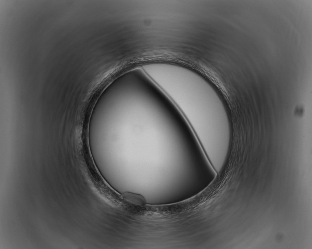X0000100750538200806190825