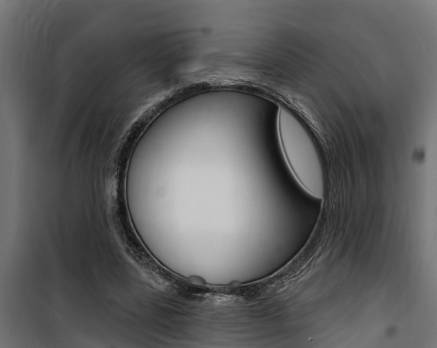 X0000100750539200806190825