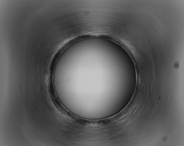 X0000100750540200806190825
