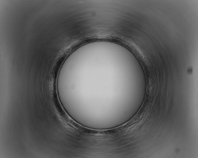 X0000100750542200806190825