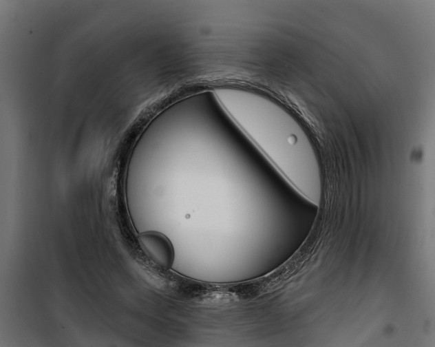 X0000100750543200806190825