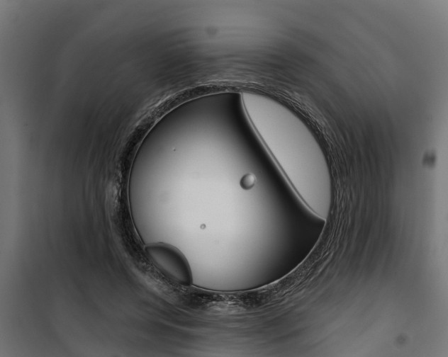 X0000100750544200806190825