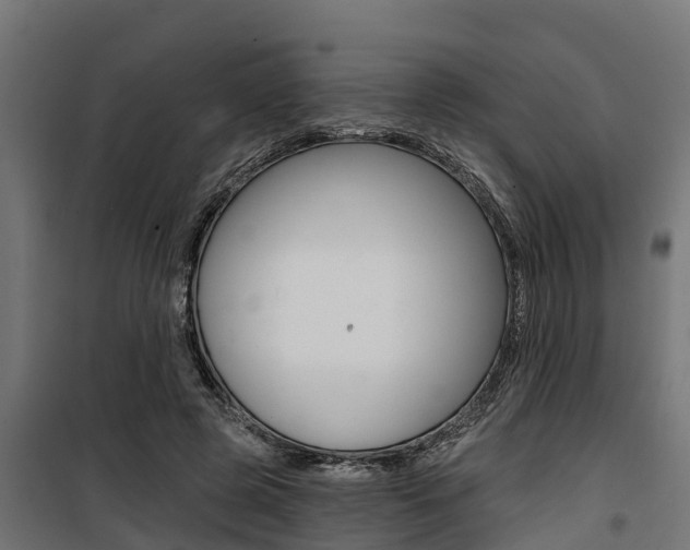 X0000100750545200806190825