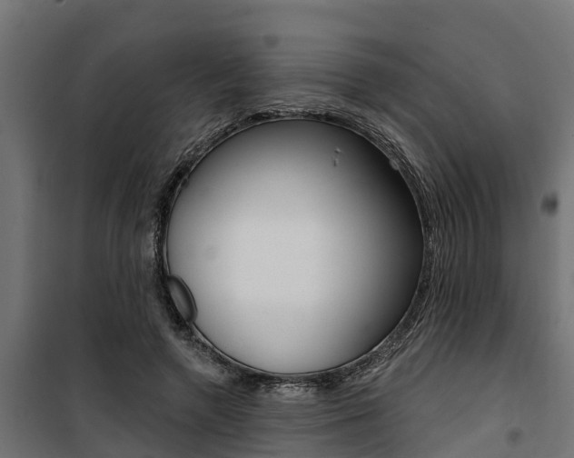 X0000100750546200806190825