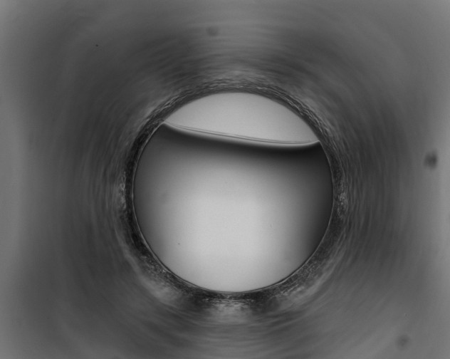 X0000100750547200806190825