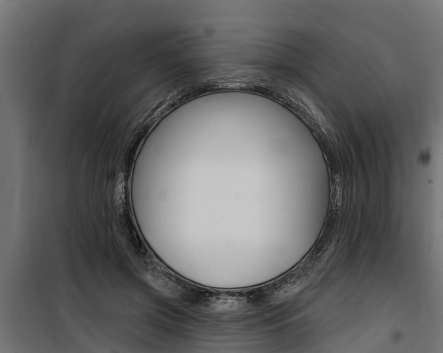 X0000100750549200806190825