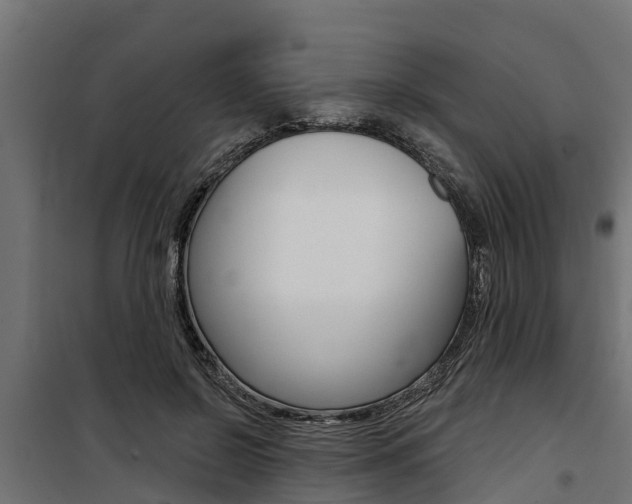 X0000100750550200806190825