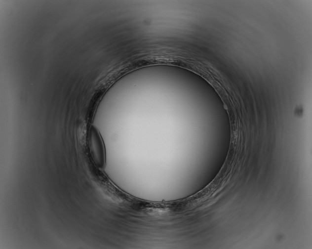 X0000100750552200806190825