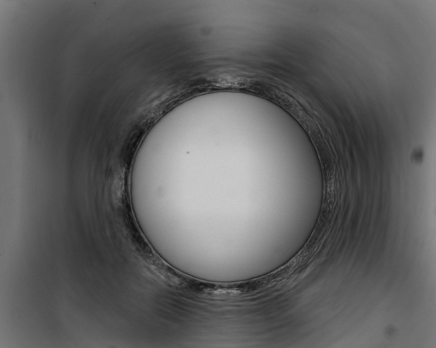 X0000100750554200806190825