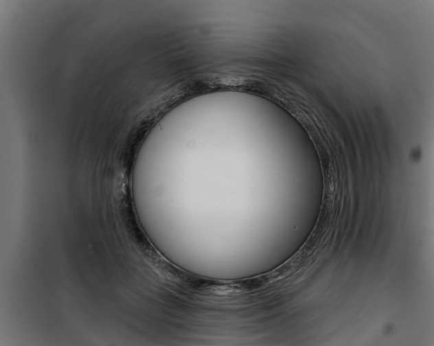X0000100750555200806190826