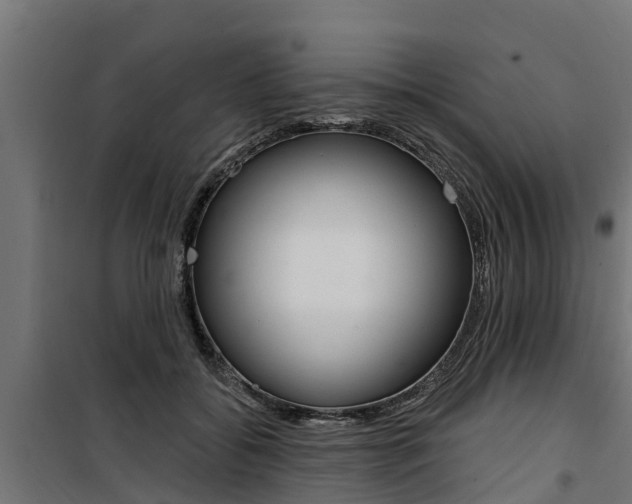 X0000100750556200806190826