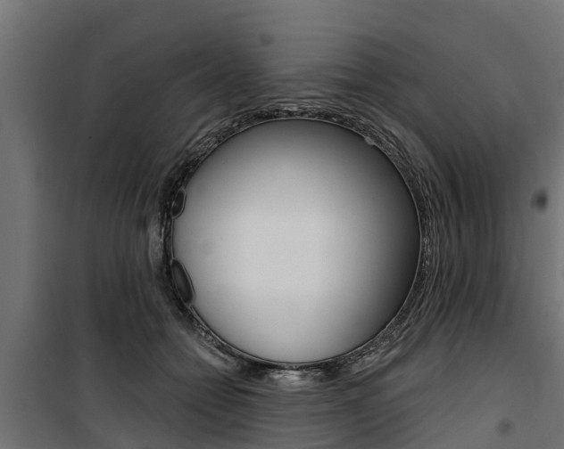 X0000100750558200806190826