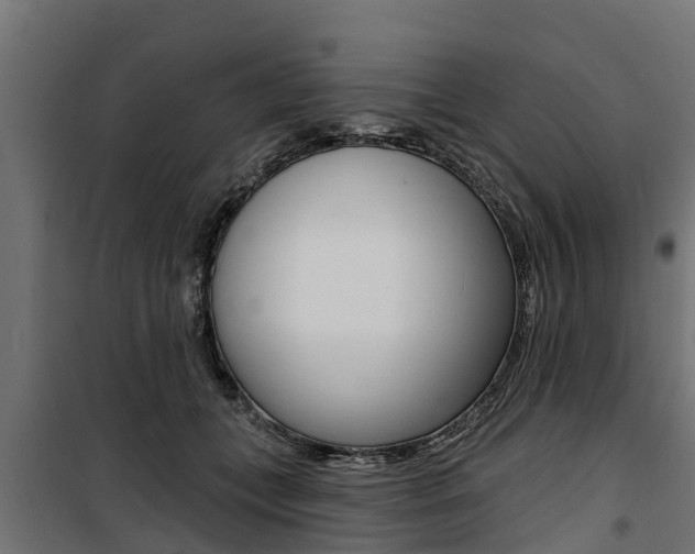 X0000100750559200806190826
