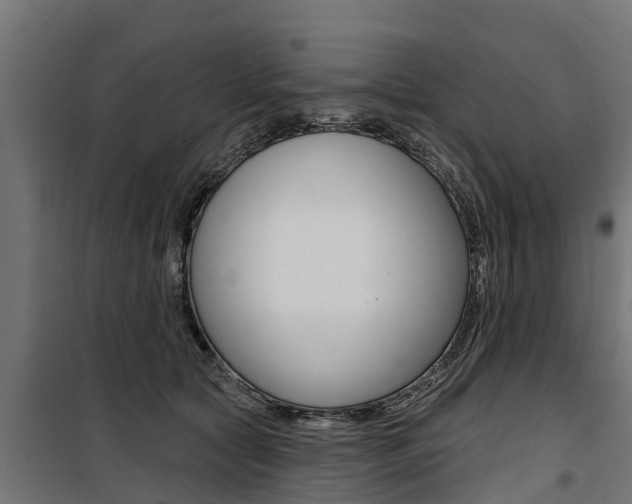 X0000100750561200806190826