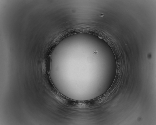 X0000100750562200806190826