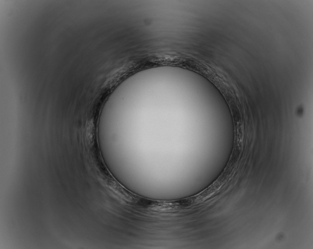 X0000100750563200806190826
