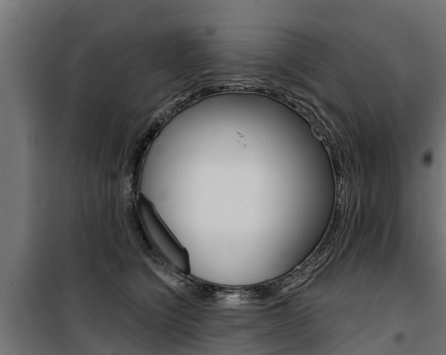 X0000100750564200806190826