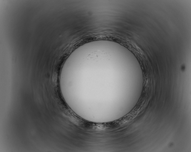 X0000100750565200806190826