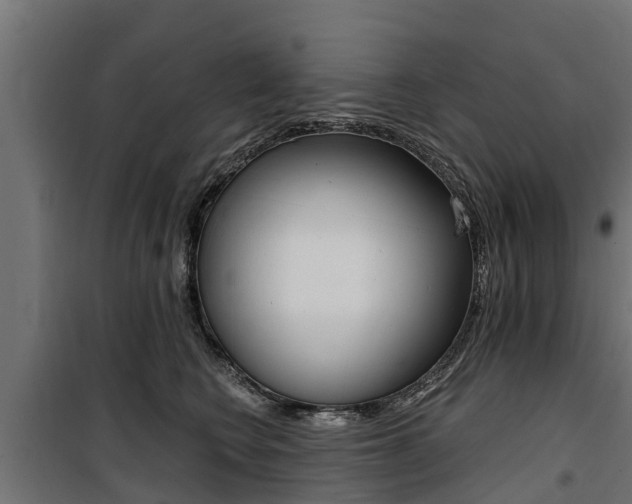X0000100750566200806190826