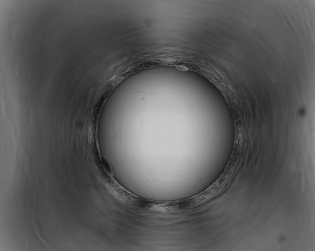 X0000100750568200806190826