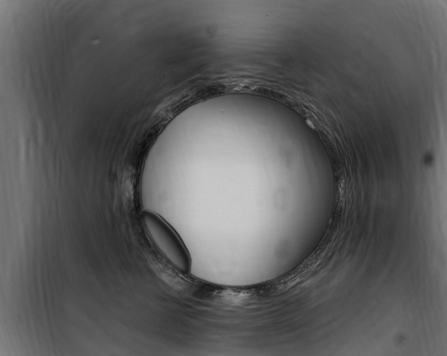 X0000100750570200806190826