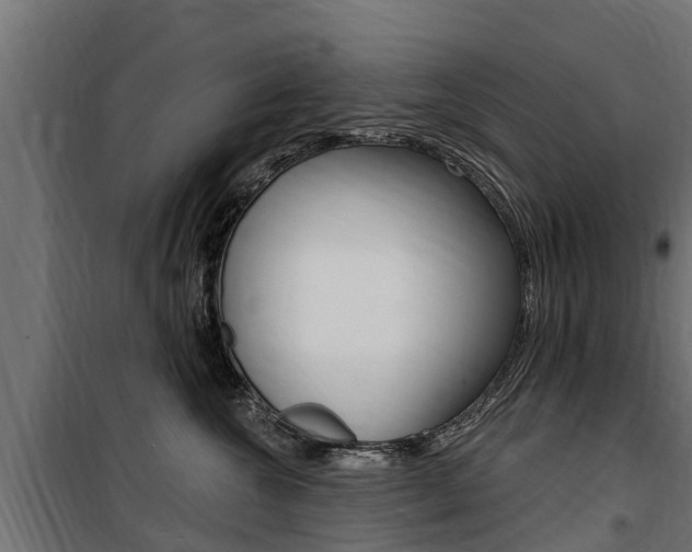 X0000100750572200806190826