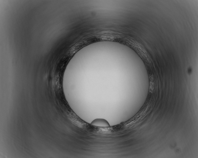 X0000100750573200806190826