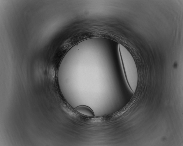 X0000100750574200806190826