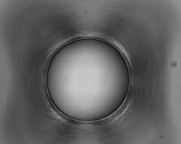 X0000100750577200806190825