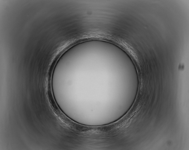 X0000100750578200806190825