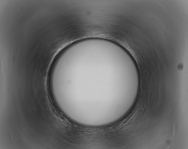 X0000100750579200806190825