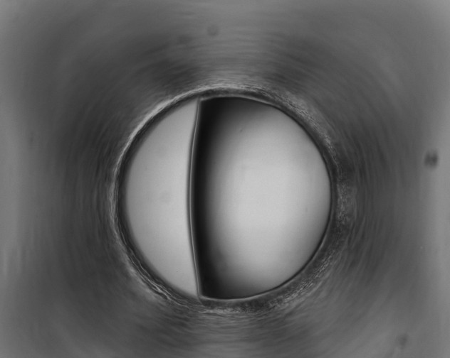 X0000100750580200806190825