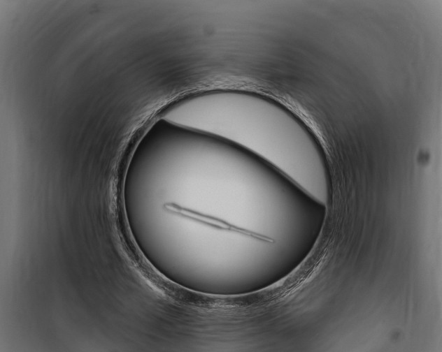 X0000100750581200806190825