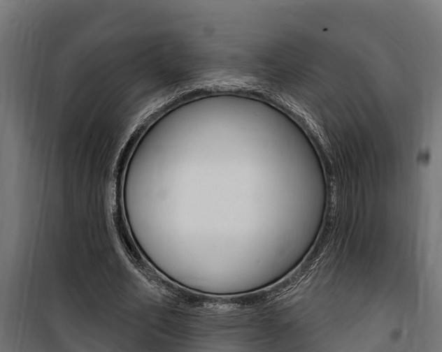 X0000100750582200806190825