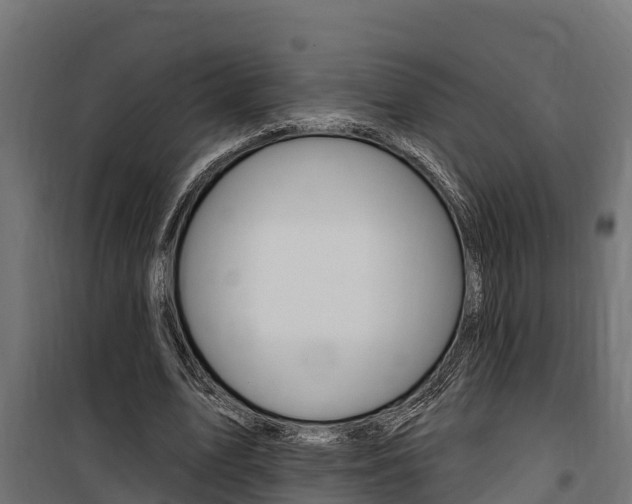 X0000100750583200806190825