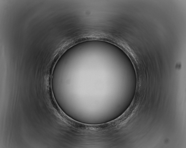 X0000100750585200806190825