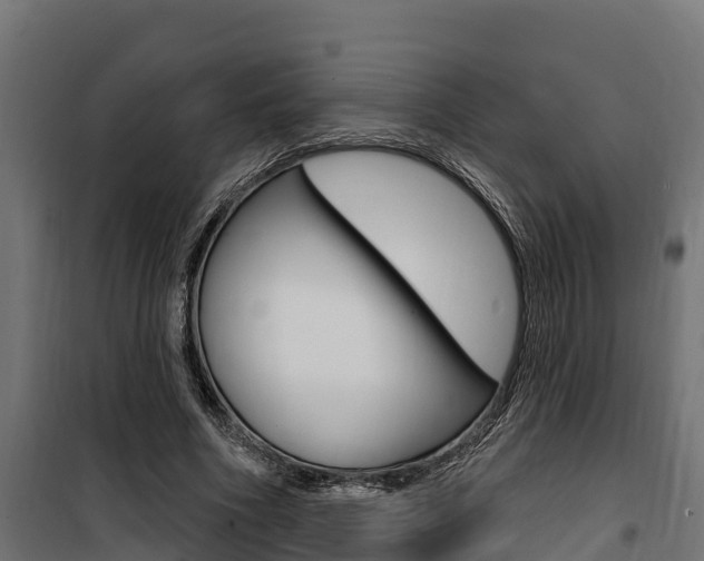 X0000100750586200806190825