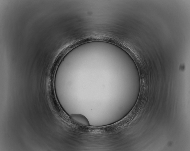 X0000100750587200806190825