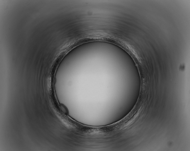 X0000100750589200806190825