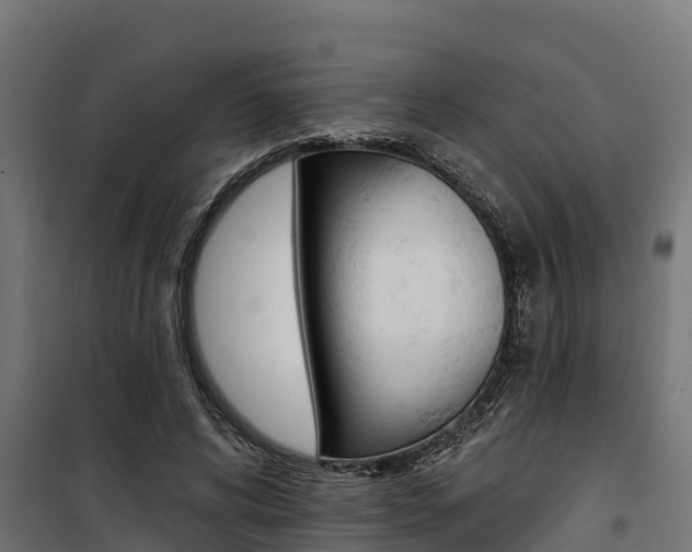 X0000100750592200806190825