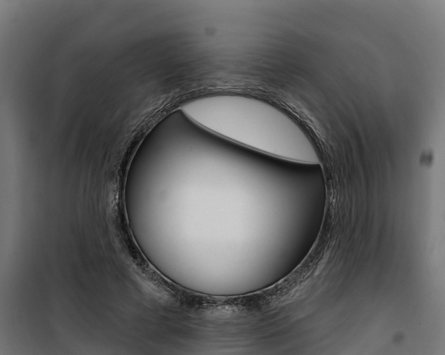X0000100750593200806190825