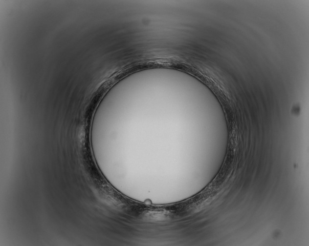 X0000100750595200806190825