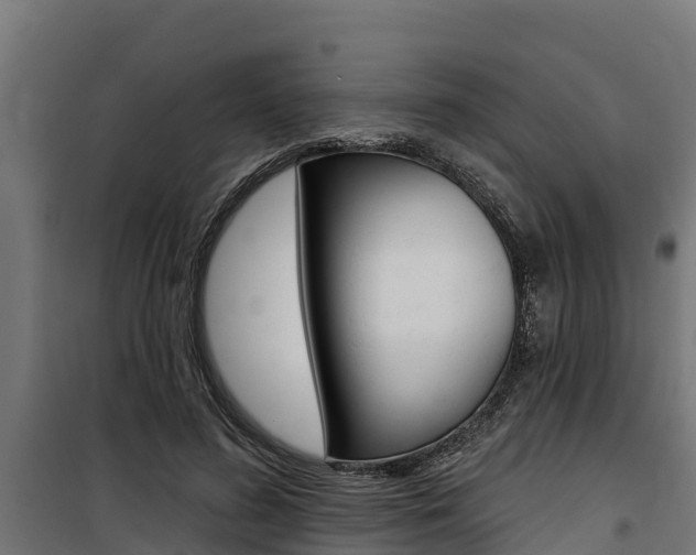 X0000100750596200806190825