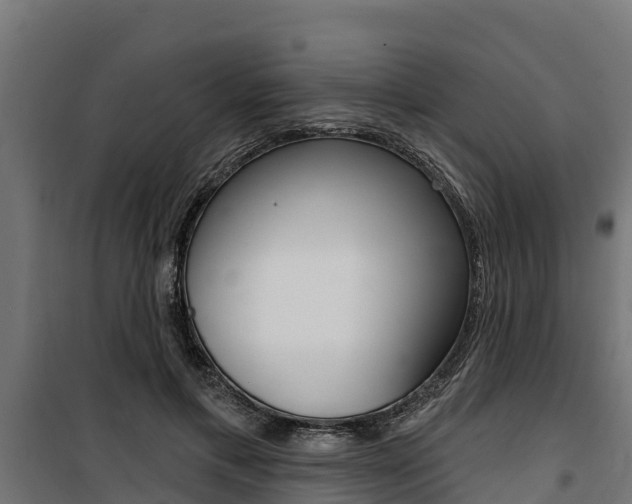 X0000100750597200806190825