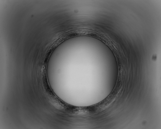 X0000100750601200806190825