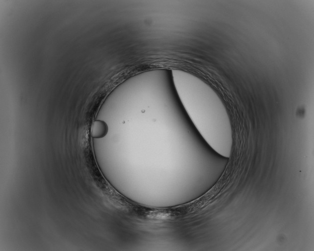 X0000100750602200806190825
